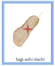 Sagi-ashi-dachi_S