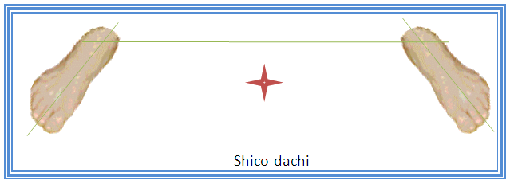 Shiko-dachi_S