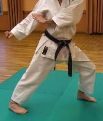 Gyaku-zenkutsu-dachi