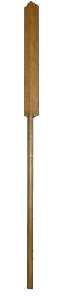 Eku